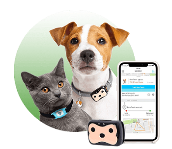 GPS трекер для кошек и собак